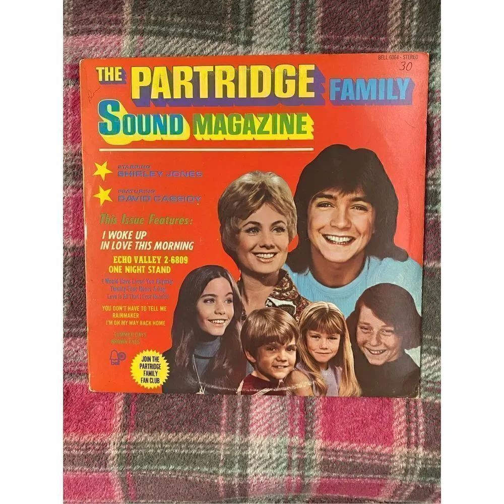 Vintage The partridge family vinyl